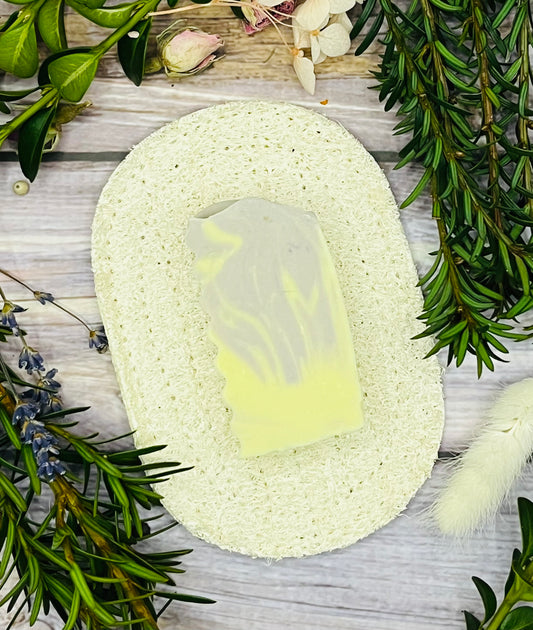Seifenablage aus Luffa